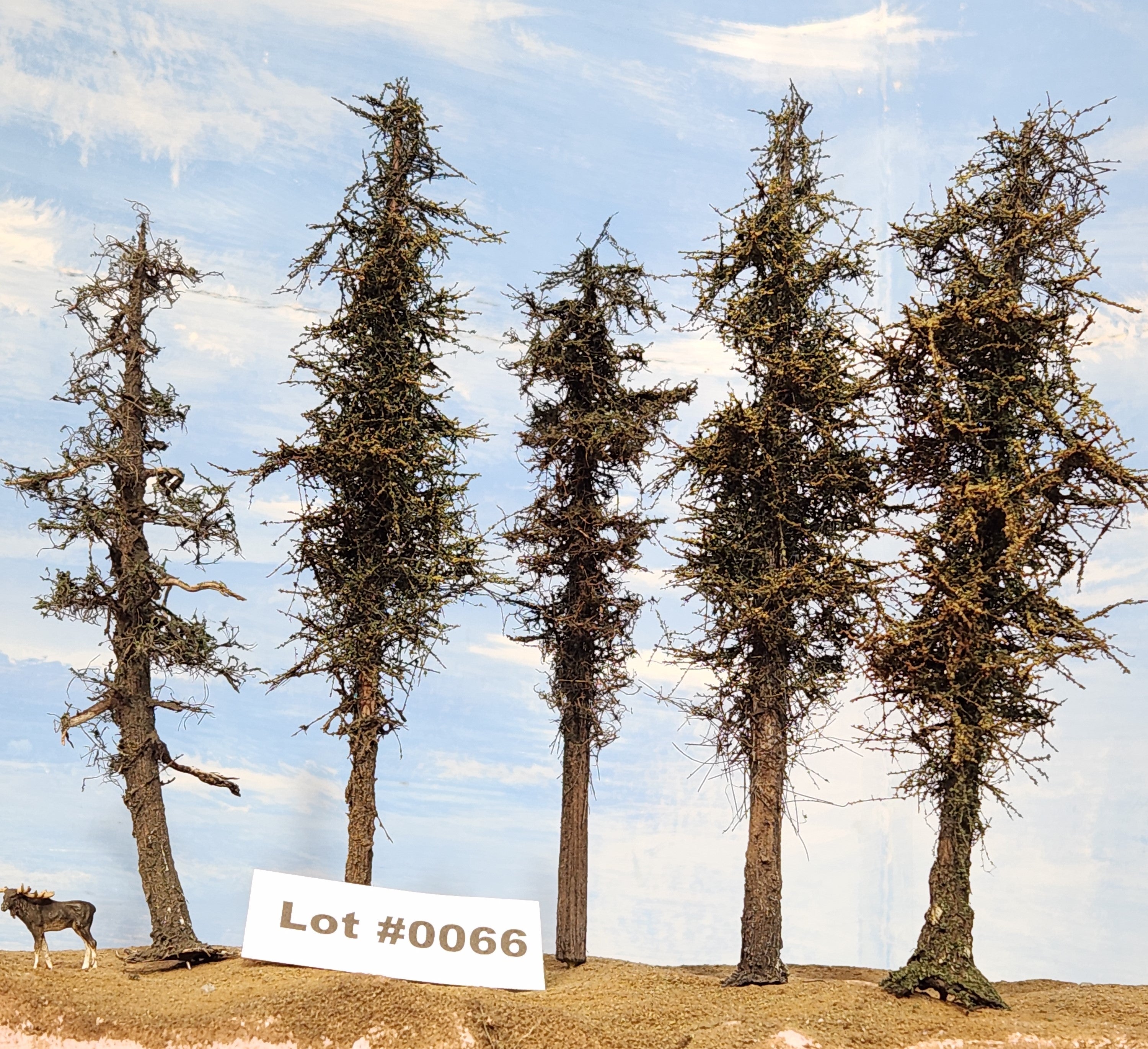 L0066 Pine Trees, Five, 7 to 9 inches