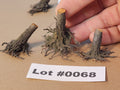 Three HO scale stumps Lot #0068 closeout sale with a hand holding the center one for scale. 