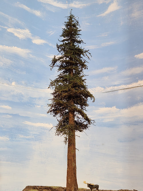 14 Inch Medium Detail Fir Tree