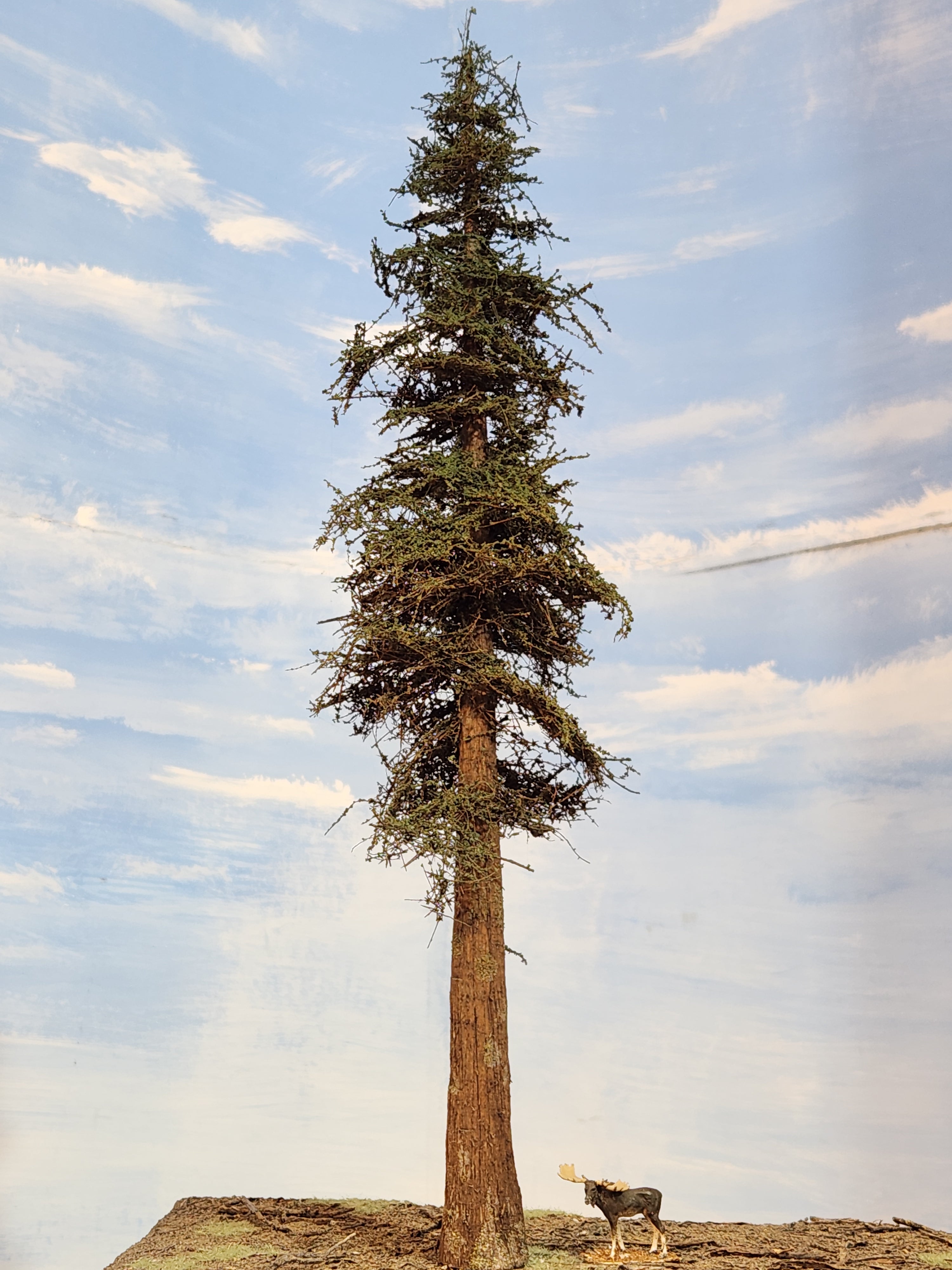 14 Inch Medium Detail Fir Tree – Coastmans