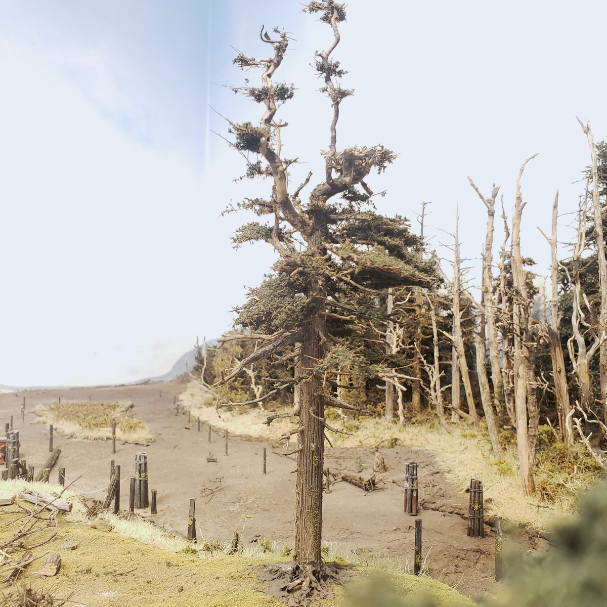 Model tree on Roger's HO scale Oregon Coast Railroad that showcases the Osprey's Nest