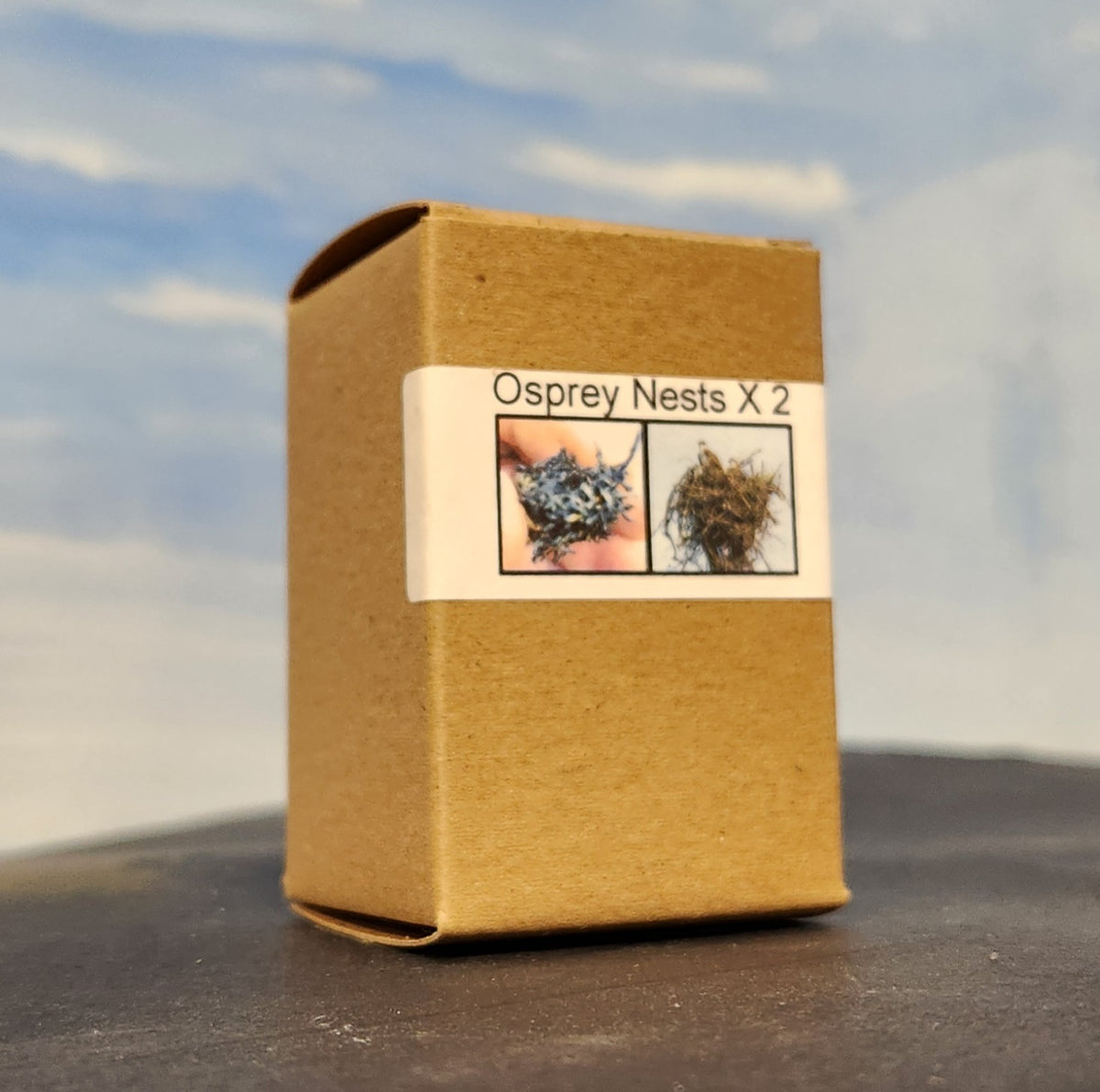 Simple cardboard packaging for Osprey Nests which come two per package protected with small crumpled paper strips inside to keep them safe
