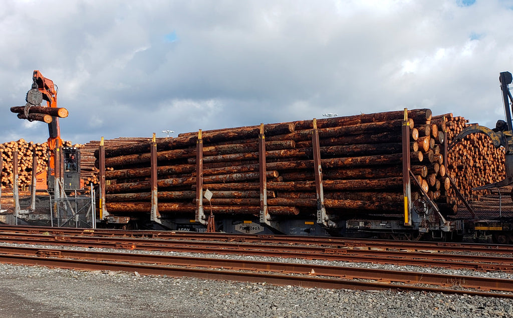 Real actual logs being unloaded from a railroad flatcar with log bunks in North Bend, Oregon for comparison with Coastman's Scenic Products logs. Photo by Roger Rasmussen.