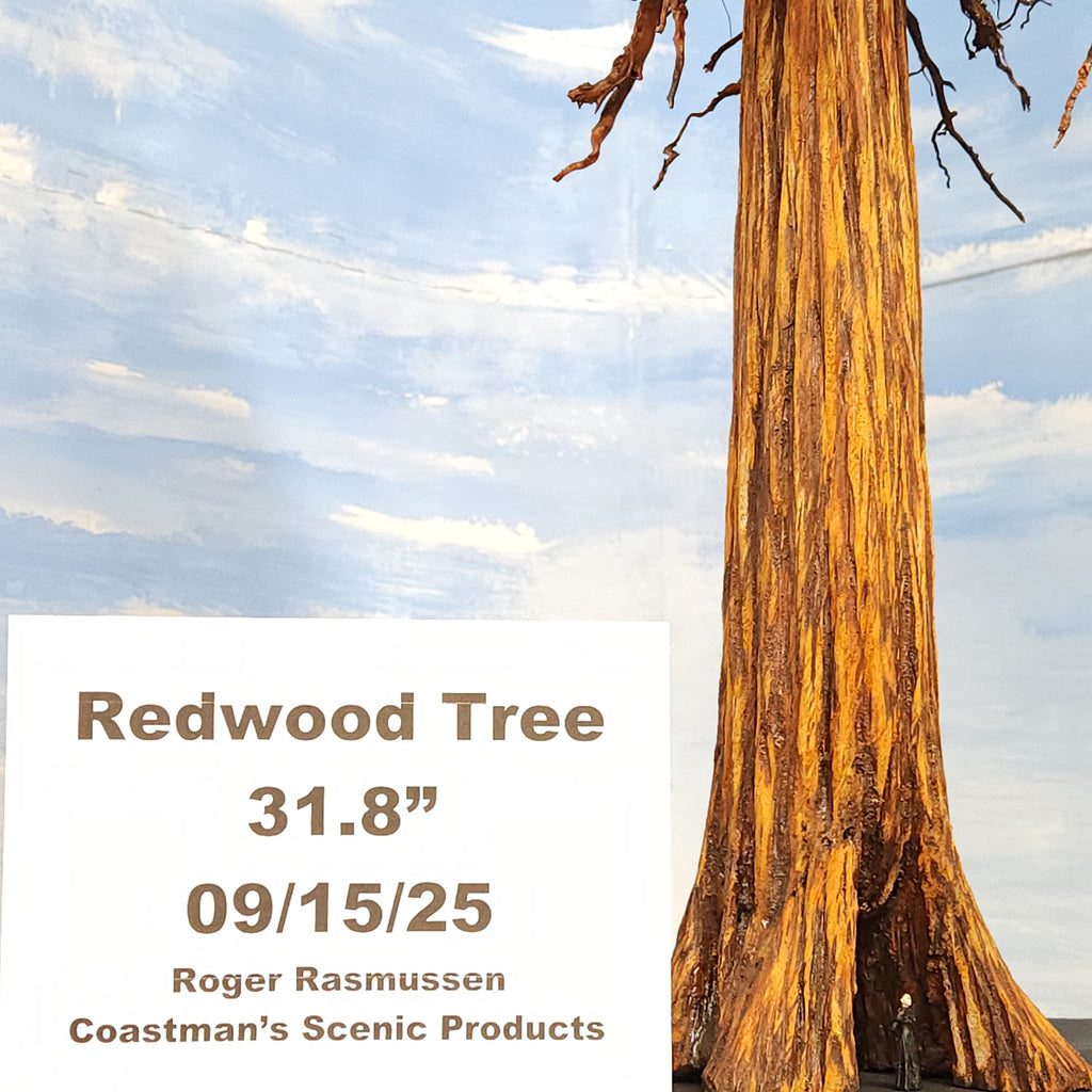 Scale model redwood sequoia conifer tree 32 inches with S scale figure and hollow cavity handmade in USA by Coastmans Scenic Products Port Orford Oregon USA