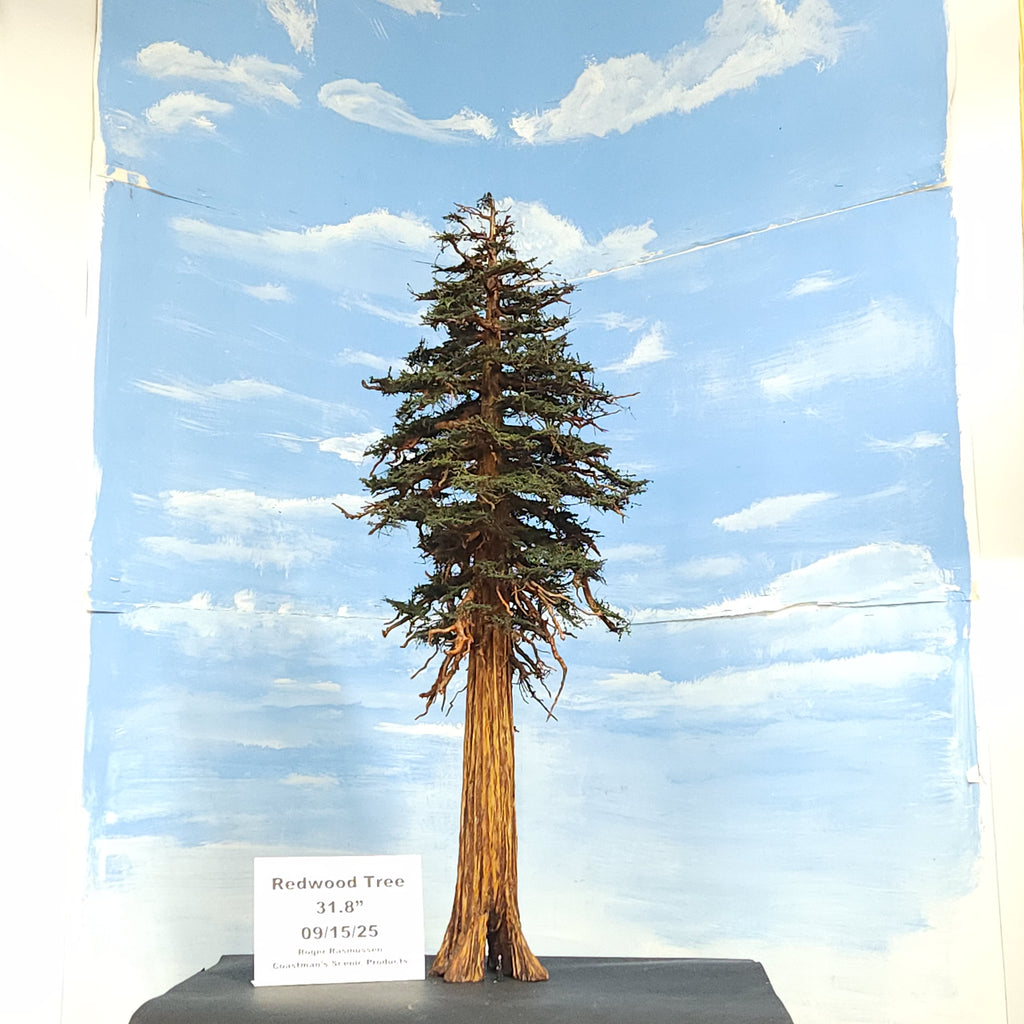 Scale model redwood sequoia conifer tree with S scale figure and hollow cavity handmade in USA by Coastmans Scenic Products Port Orford Oregon USA 09/15/25
