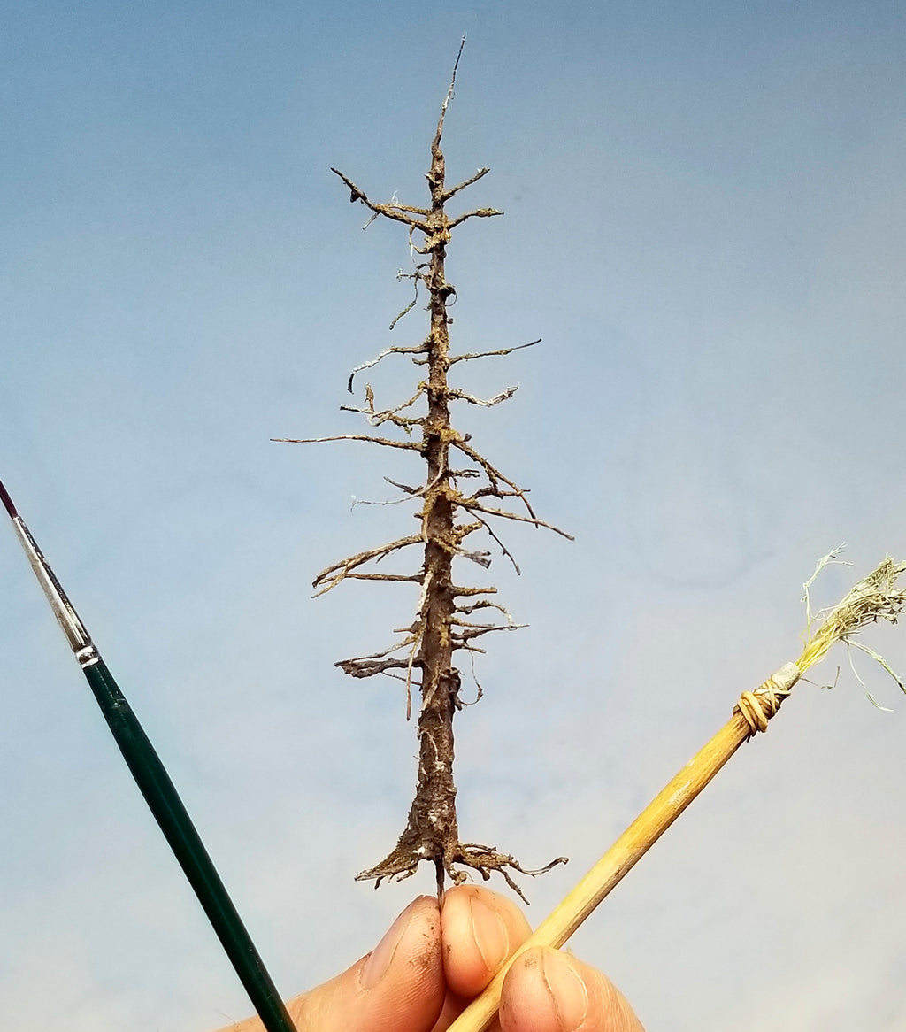 5 inch tall Snag Tree with root system handheld and with artist paint brushes for scale.