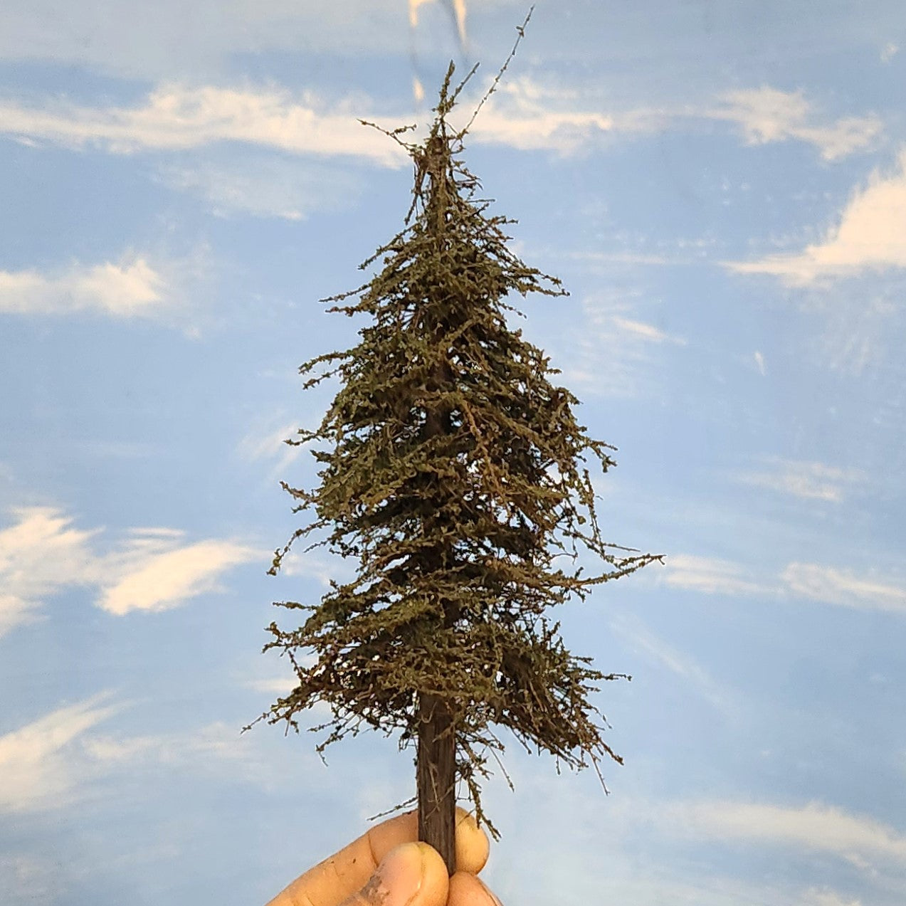 Small model of a tree held against a blue sky with clouds, 4 to 6 inches tall and suitable for HO or N scale model railroads