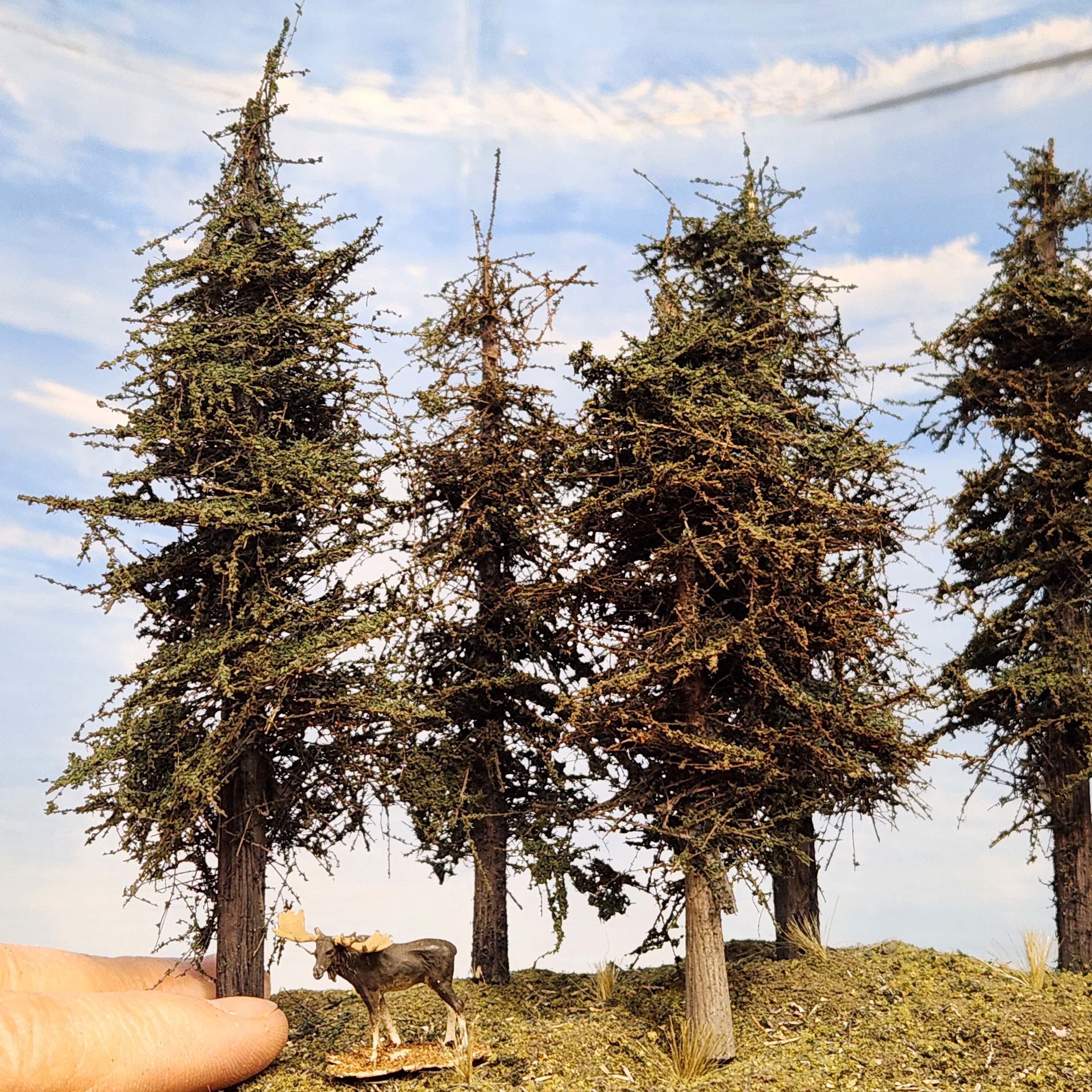 Standard Series Model Fir Trees 4 to 6 inches tall with HO scale moose and human fingers scale model trees
