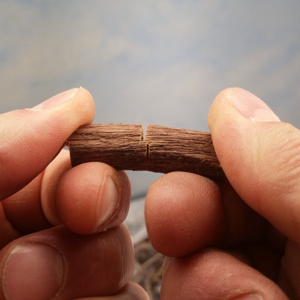 Short log obtained from StumpStuff product about to be snapped along a faller's cut
