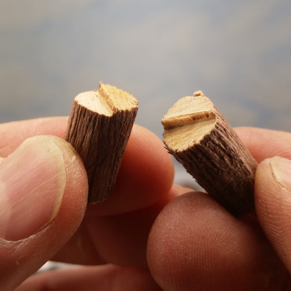 Scale model log from StumpStuff product snapped in half on a faller's cut made with a razor saw.