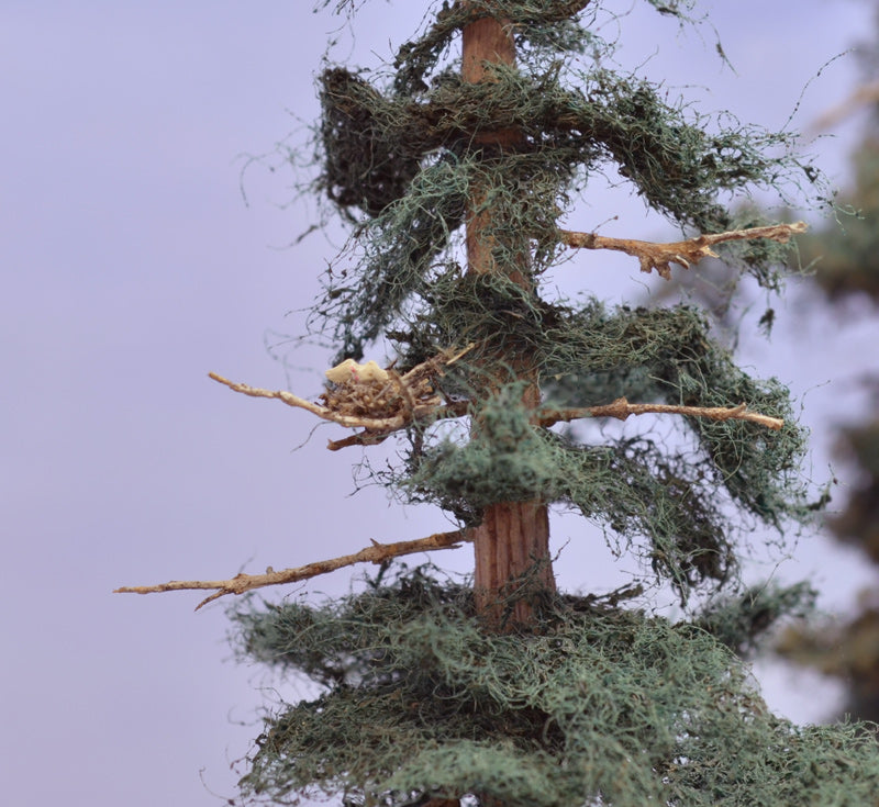 A tiny bird's nest in HO scale placed on a limb of a very early version Coastman's fir tree made with scrubber pads for foliage