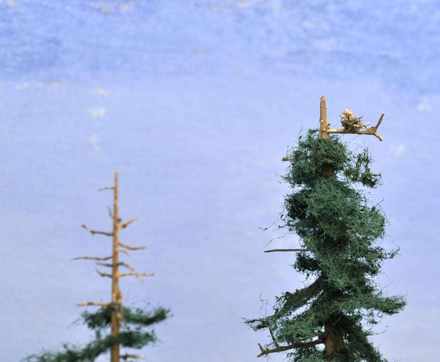 A tiny bird's nest in HO scale placed on a limb of a very early version Coastman's fir tree made with scrubber pads for foliage
