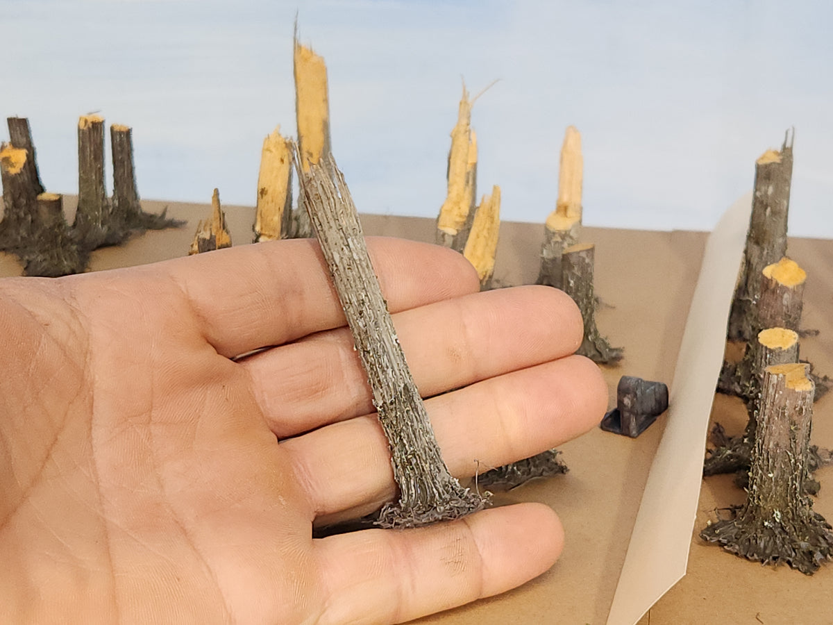 Stumps, 3/8ths Windblown, Three