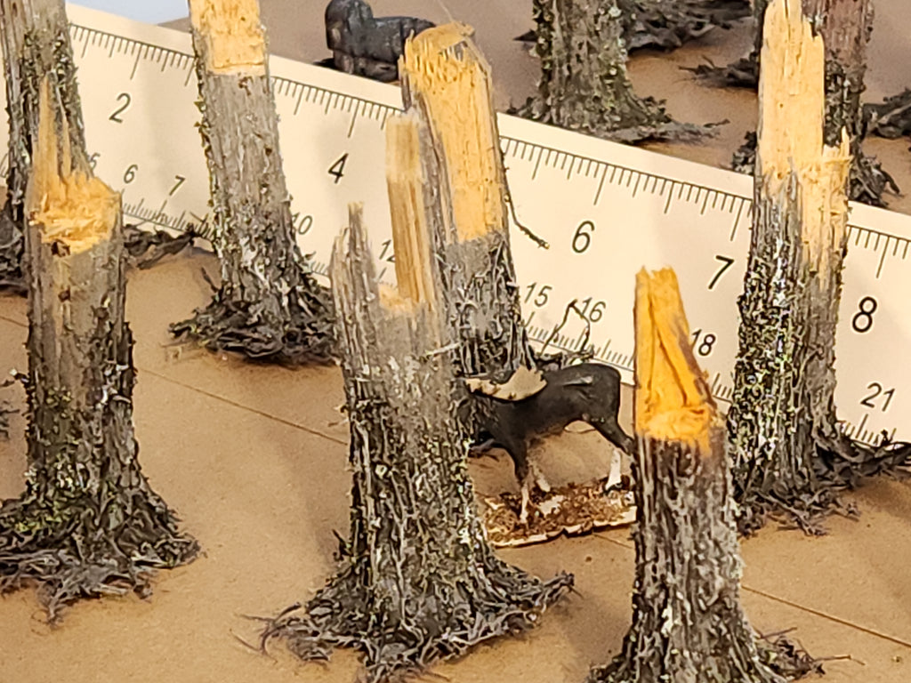 Stumps, 3/8ths Windblown, Three