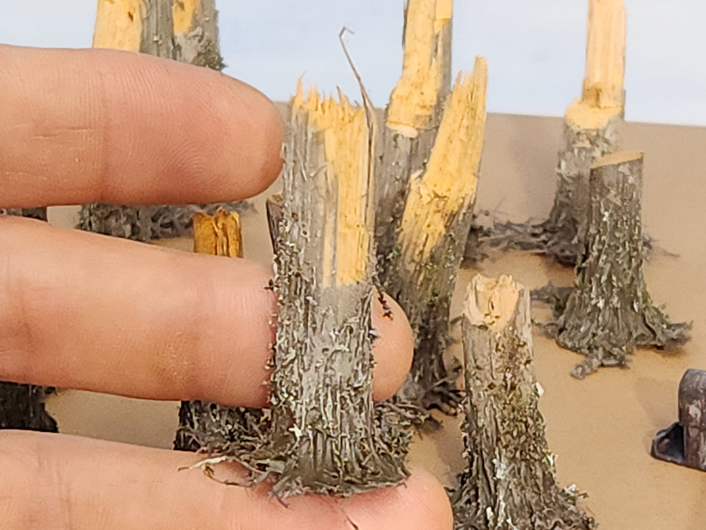 Stumps, 3/8ths Windblown, Three