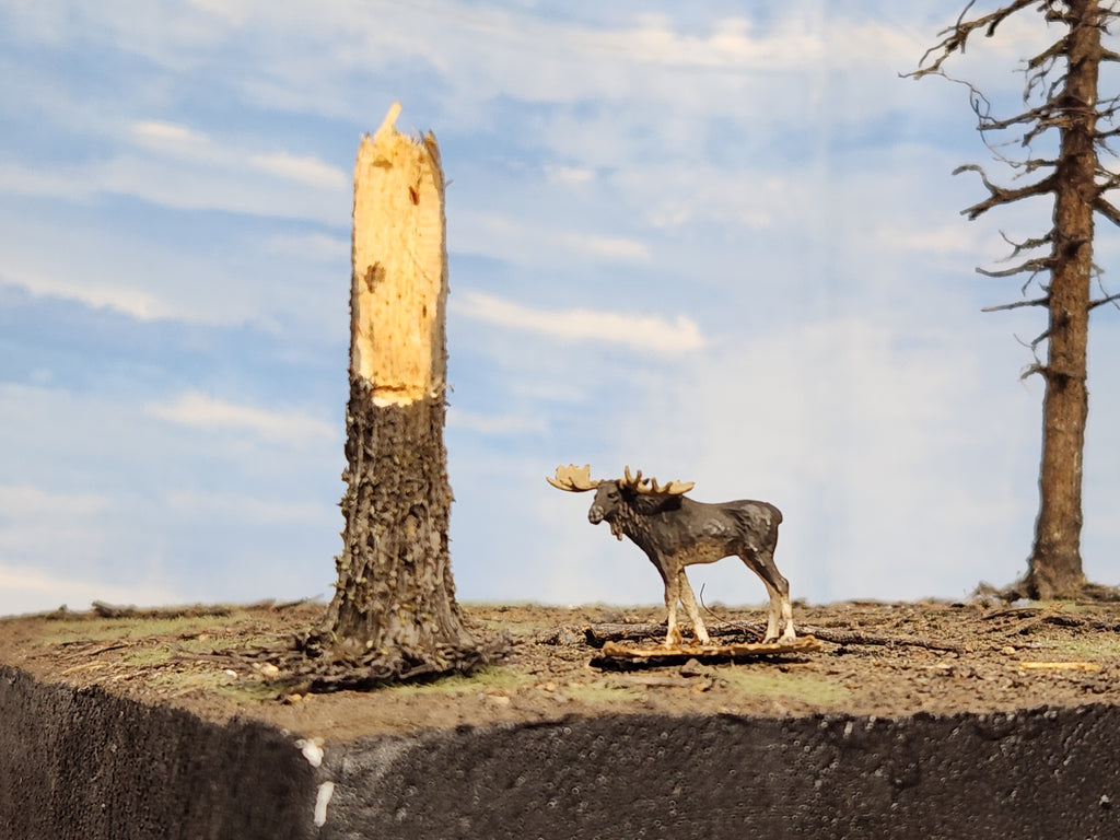Stumps, 3/8ths Windblown, Three