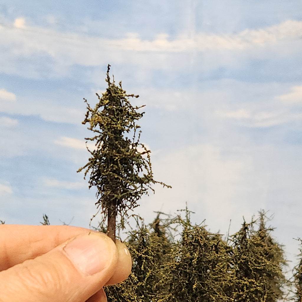 background skyiners 2.5 inches model fir trees small model fir tree