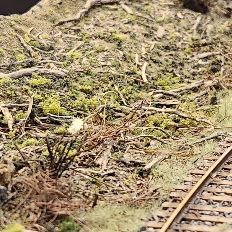 Close-up of Roger's model railroad showing bits of forest floor material placed near the tracks along with dry grass and moss