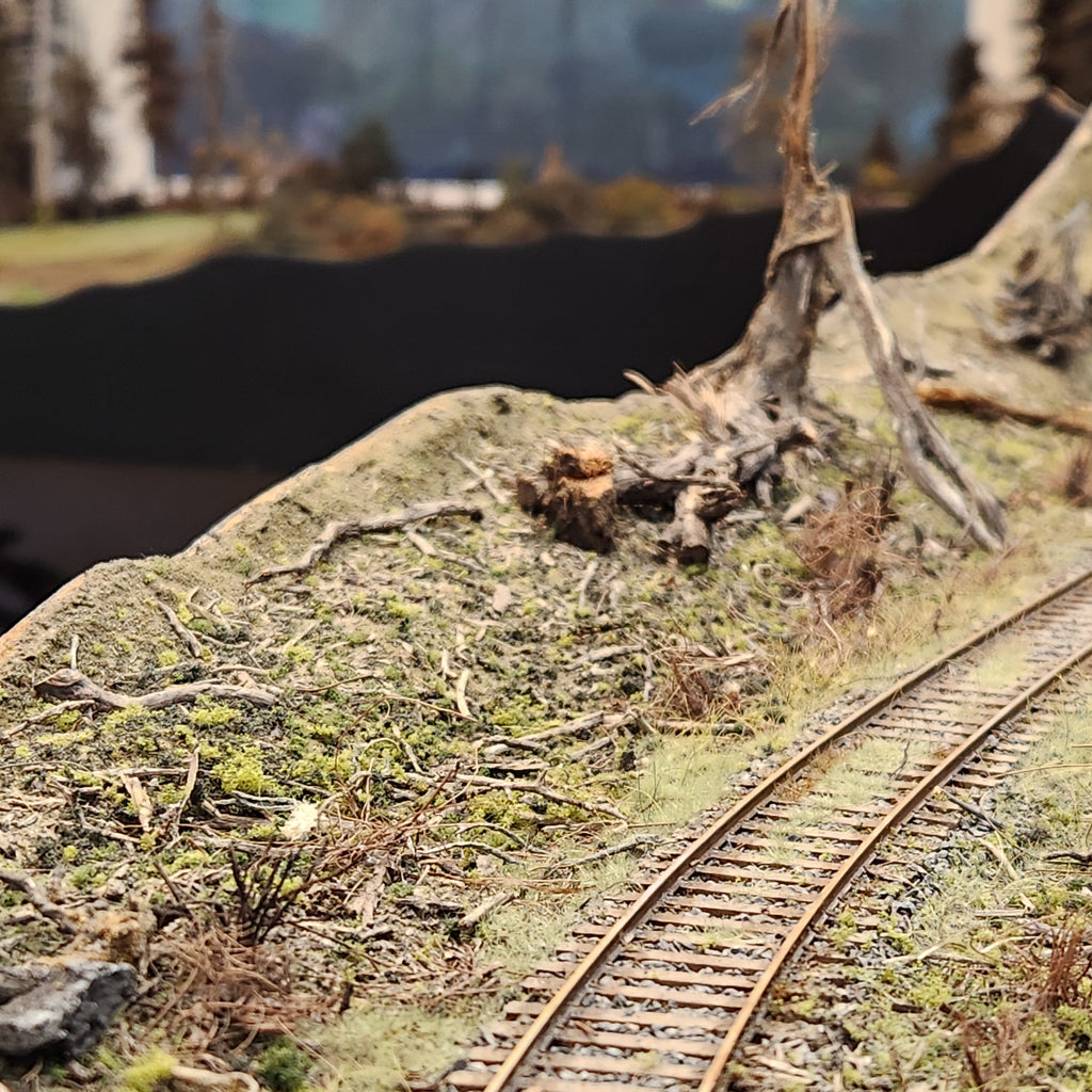 Many bits of Coastman's Forest Floor material as seen on Roger's POTB layout in HO scale with railroad tracks and other scenery components.