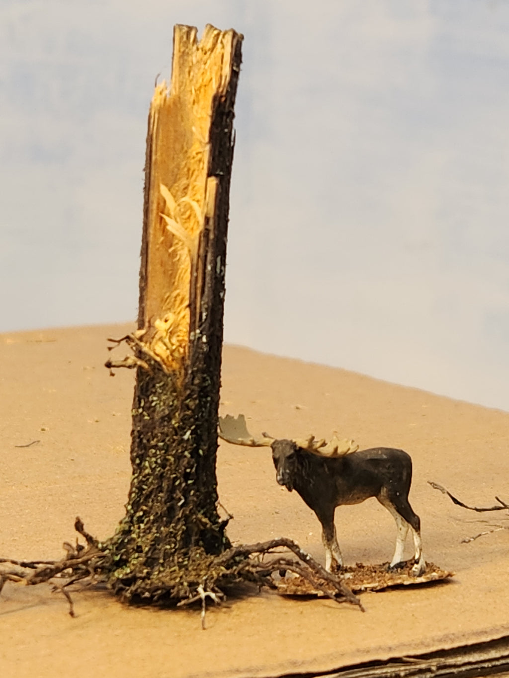 Coastmans Instructions.pdf Tall Hollow Stump – Coastmans