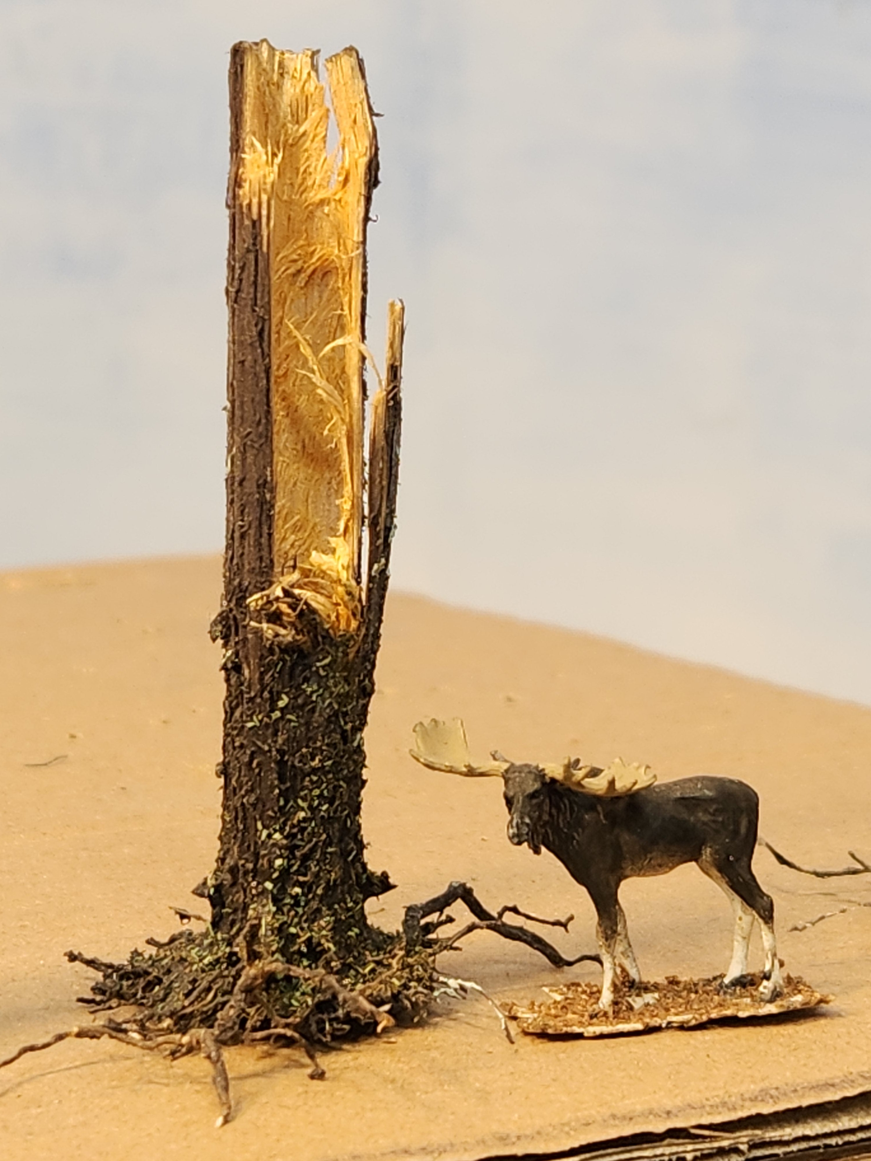 Coastmans Instructions.pdf Tall Hollow Stump – Coastmans
