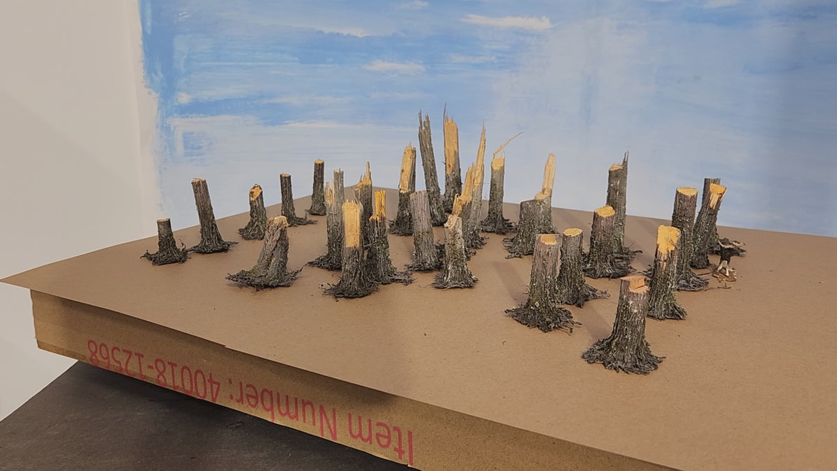 Stumps, 3/8ths Windblown, Three