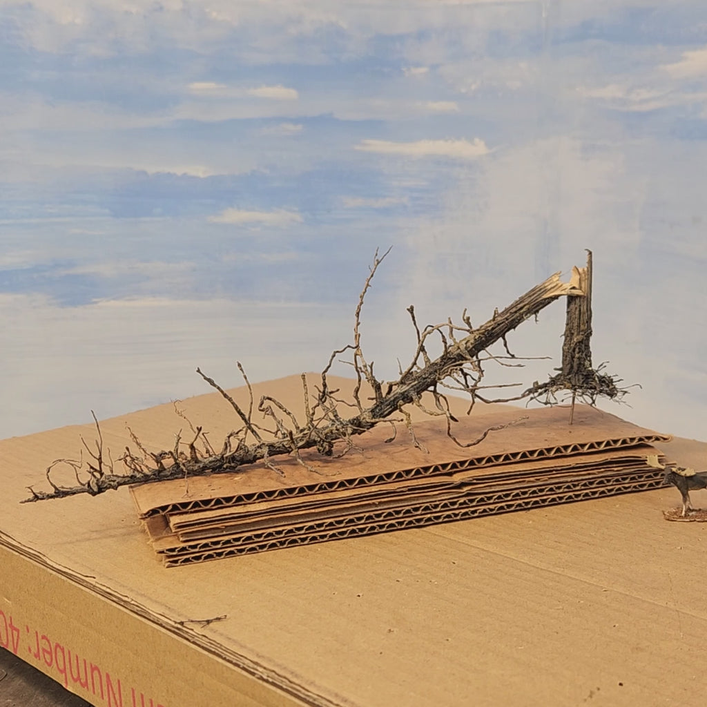 Downed Snag or Ghost Dead Tree, 11"