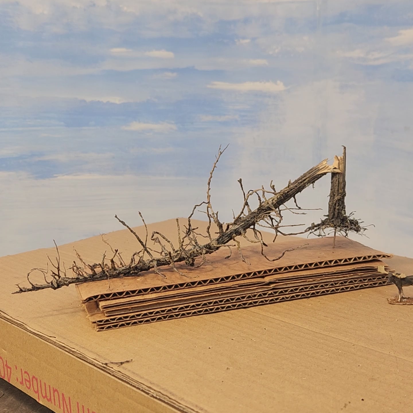 Downed Snag or Ghost Dead Tree, 11"