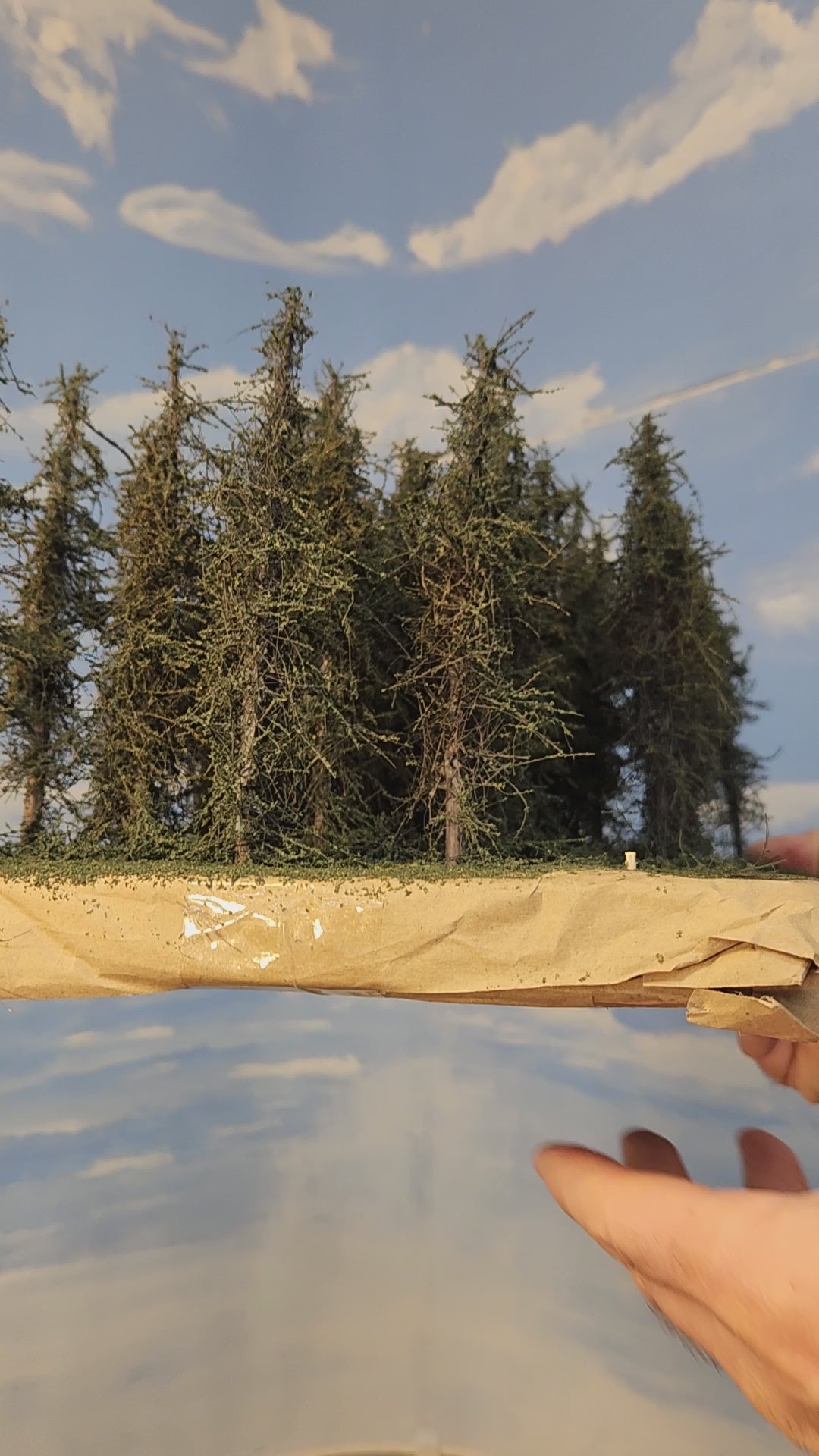 6" Background Trees X 30