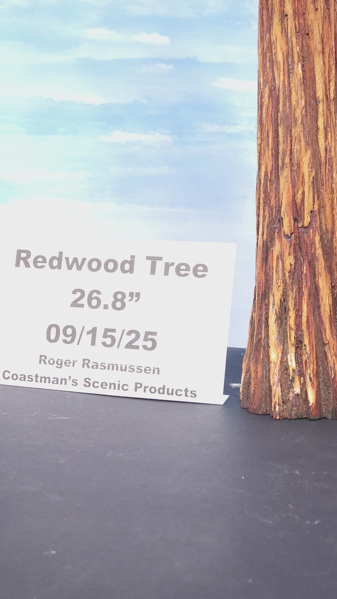 Redwood Tree 26 Inch