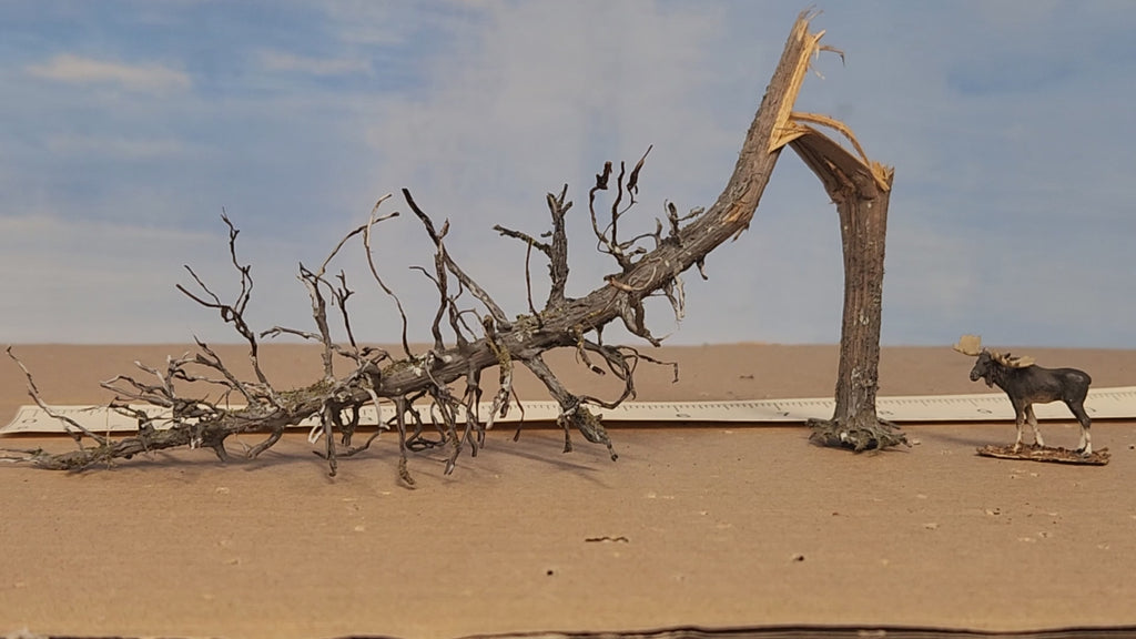 Downed Snag or Ghost Dead Tree, 9"