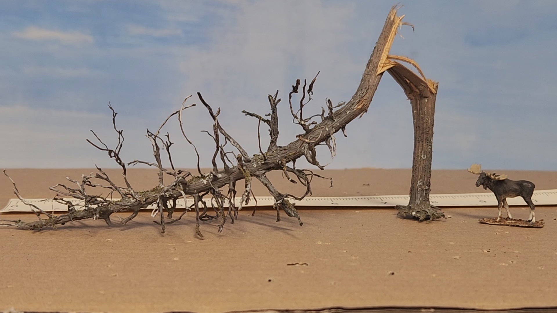 Downed Snag or Ghost Dead Tree, 9"
