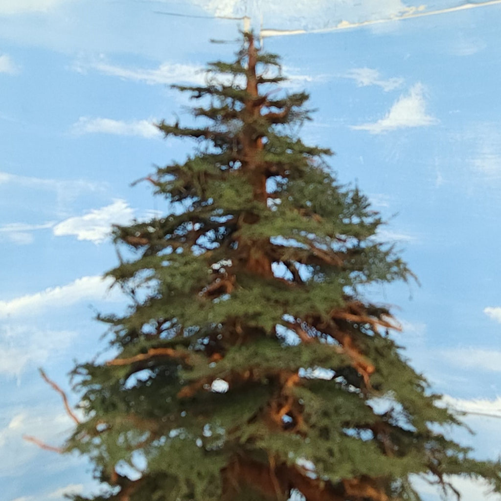 sequoia redwood tree model 31 inches handmade Coastmans Scenic Products Oregon USA