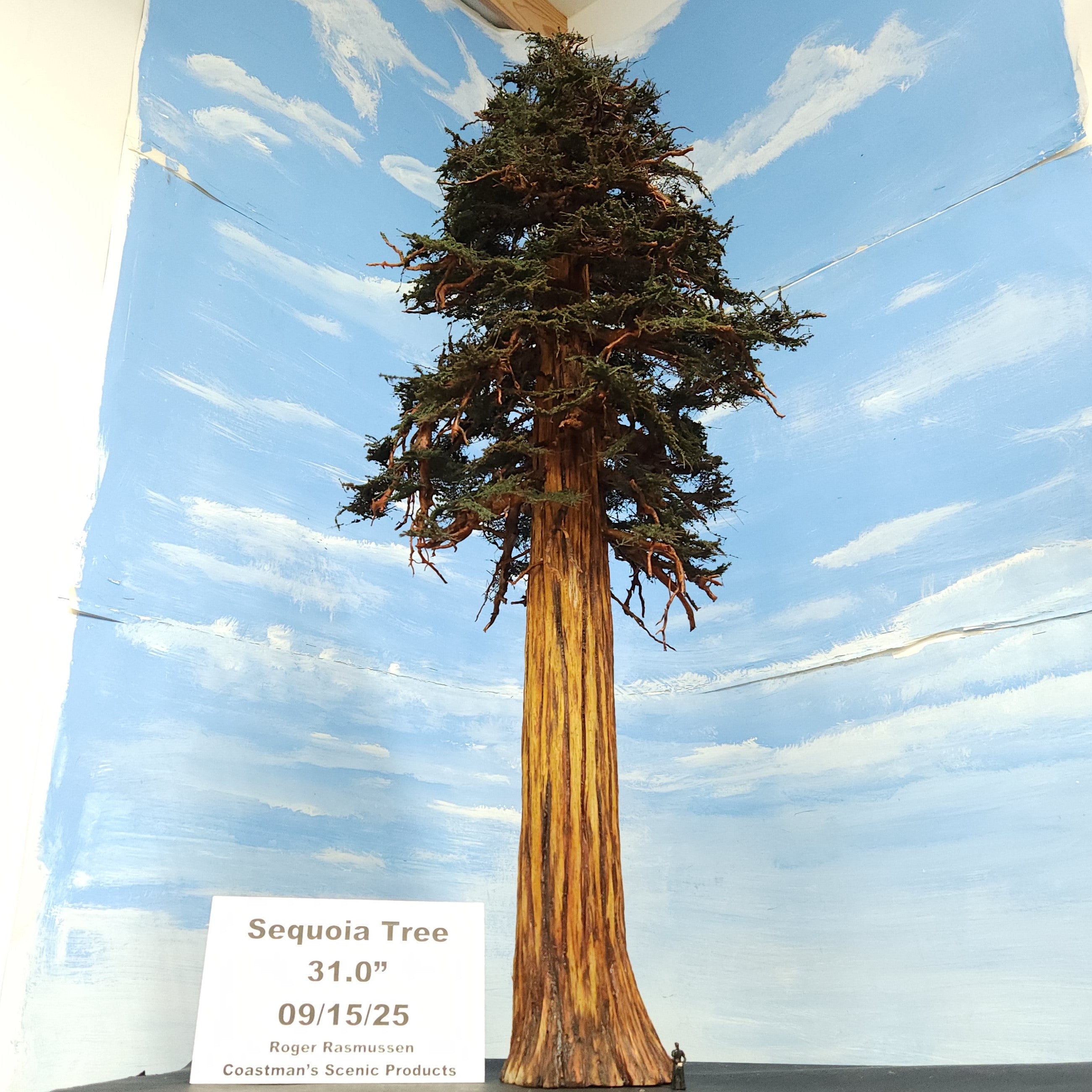 sequoia redwood tree model 31 inches handmade Coastmans Scenic Products Oregon USA