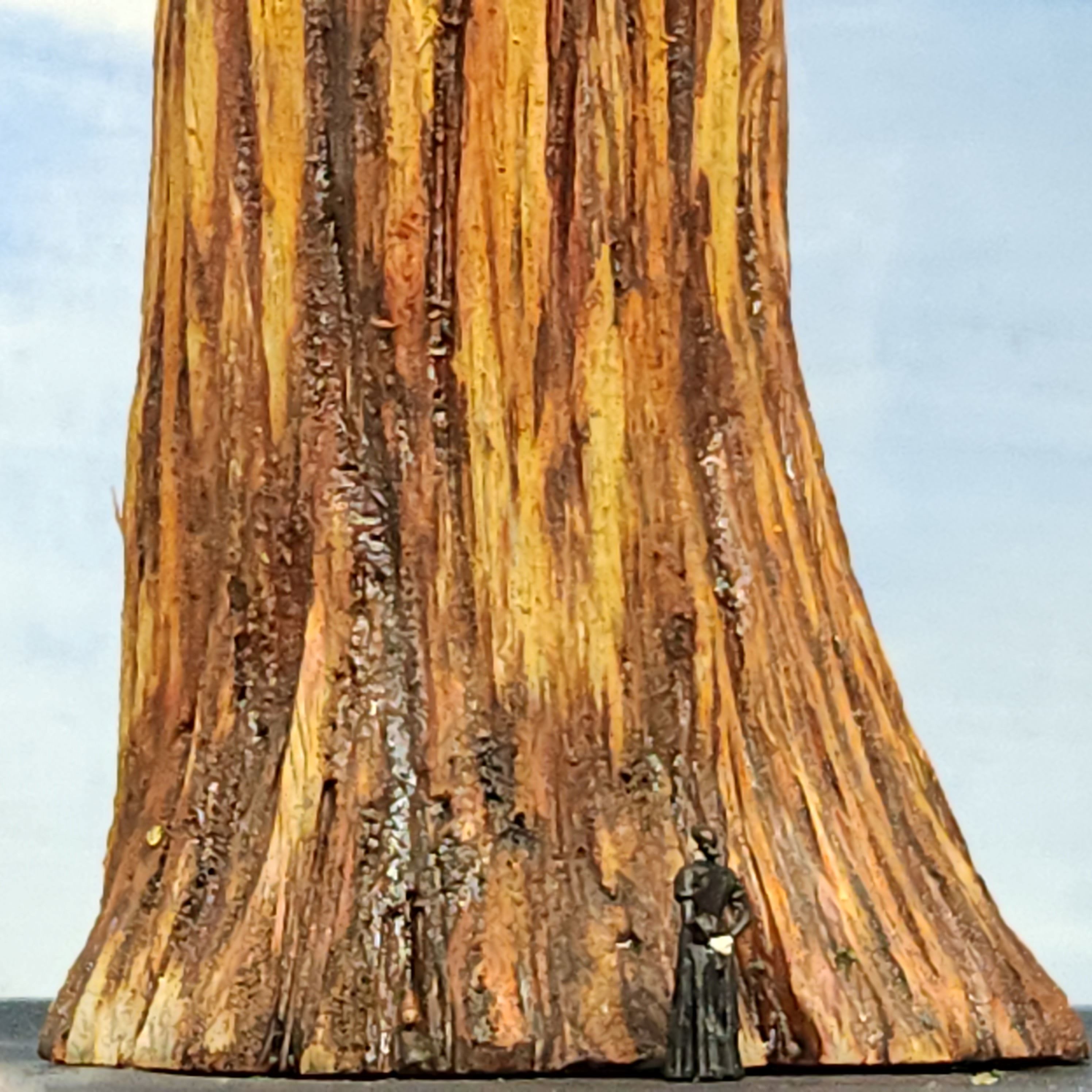 sequoia redwood tree model 31 inches base of tree with a 1:64 scale S-scale figure handmade by Coastman's Scenic Products Oregon USA
