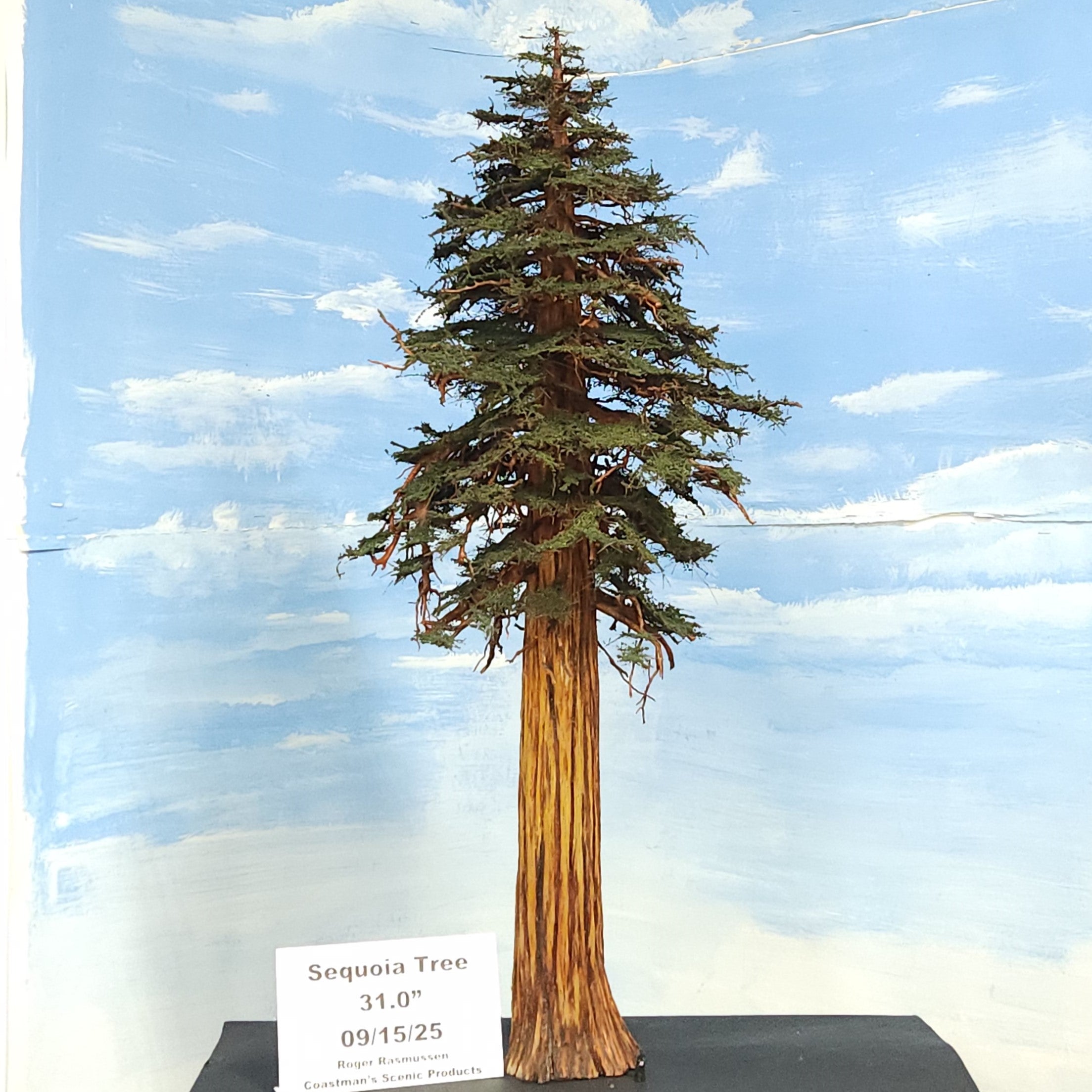 Overall view of a hand-sculpted handmade handcrafted model Sequoia tree 31 inches tall produced at Coastman's Scenic Product, Oregon USA